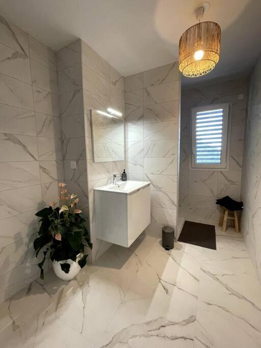 Magnifique Appartement A La Frontiere Suisse Saint-Louis  Eksteriør bilde